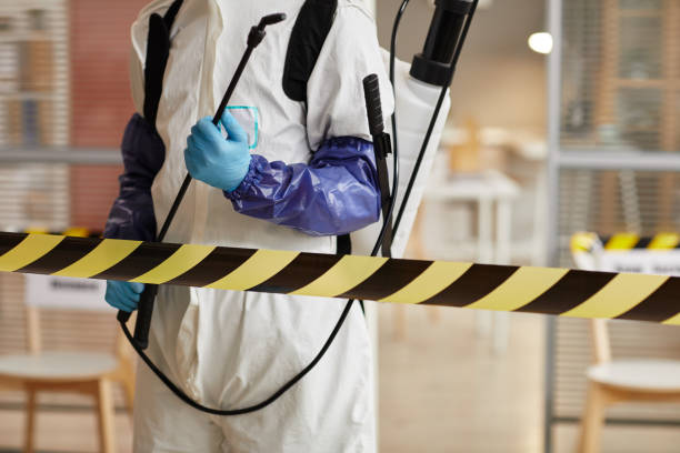 Professional Sewage Cleanup technician working in Maryville, TN